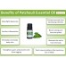 Patchouli Essential Oil 10ml