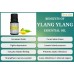 Ylang Ylang Essential Oil 10ml