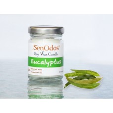 Eucalyptus Soy Candle 45g