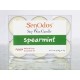 Tealight Set Spearmint Soy Candles (15g x 6)