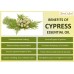 Essential Oil Burner Set (Cypress)