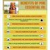 Essential Oil Burner Set (Pine) 