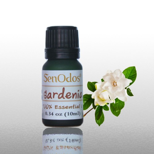 Gardenia Essential Oil 10ml