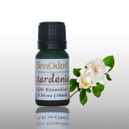 JACALS Warm Gardenia Essential Oil (Water Oxygen Machine) 10ml