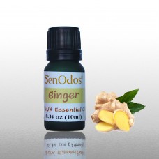 Ginger Essential Oil 10 ml