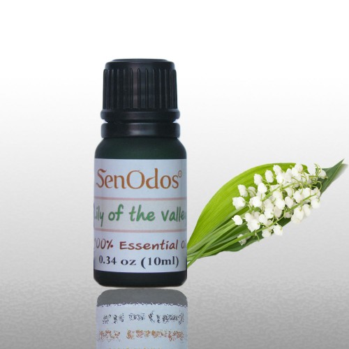 Lily of The Valley Massage Oil - 4 oz