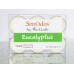Tealight Set  Eucalyptus Soy Candles (15g x 6)