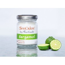 Bergamot Soy Candle 45g