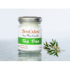 Tea Tree Soy Candle 45g